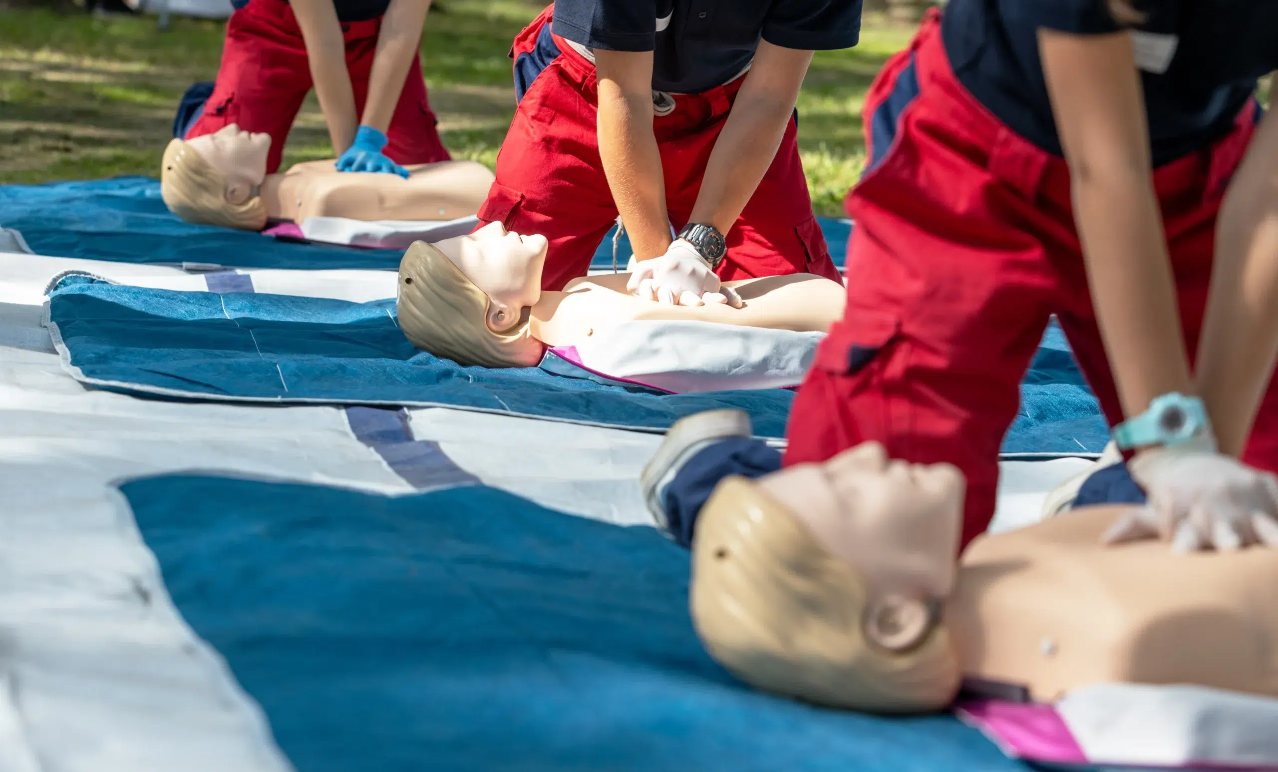 BLS ACLS PALS Training in San Jose: A Practical Guide